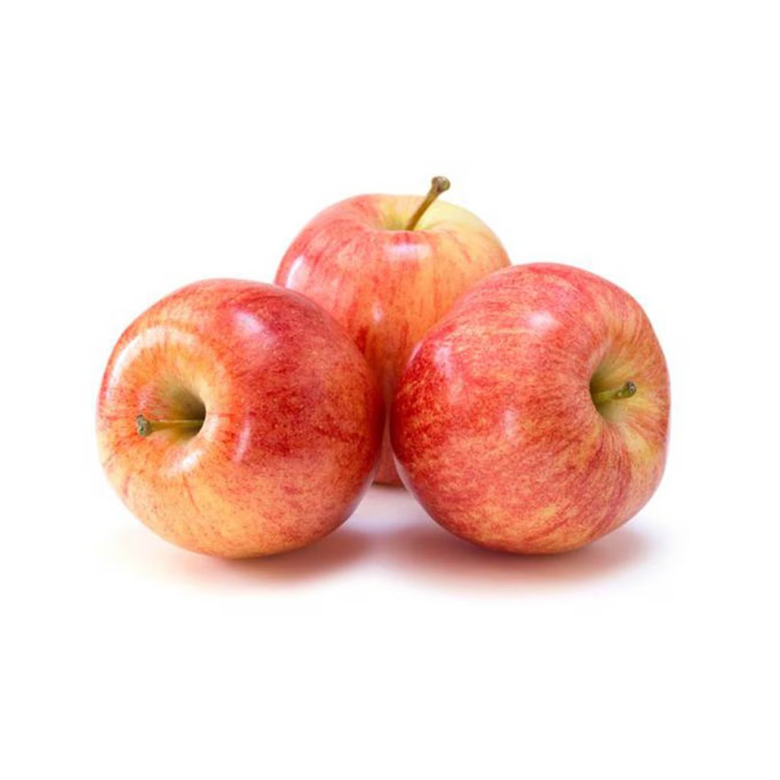 Large Royal Gala Apple