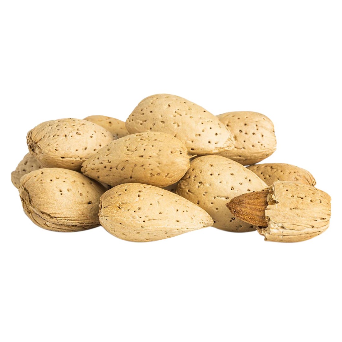 Fresh Almond In Shell