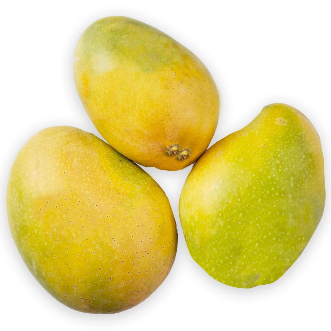 Himapasanth Mango