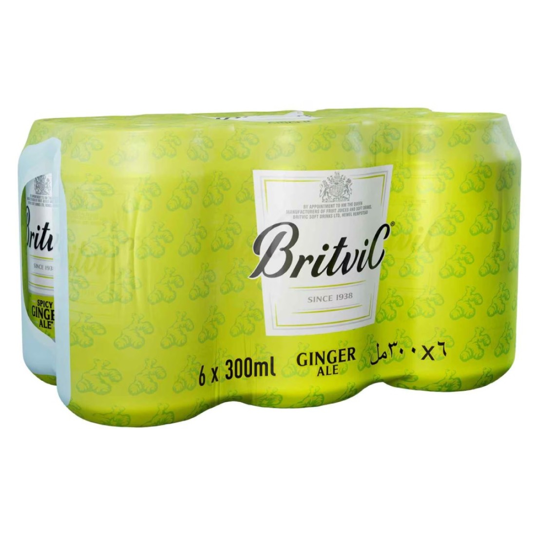 Britvic Ginger Ale 300ml Pack of 6