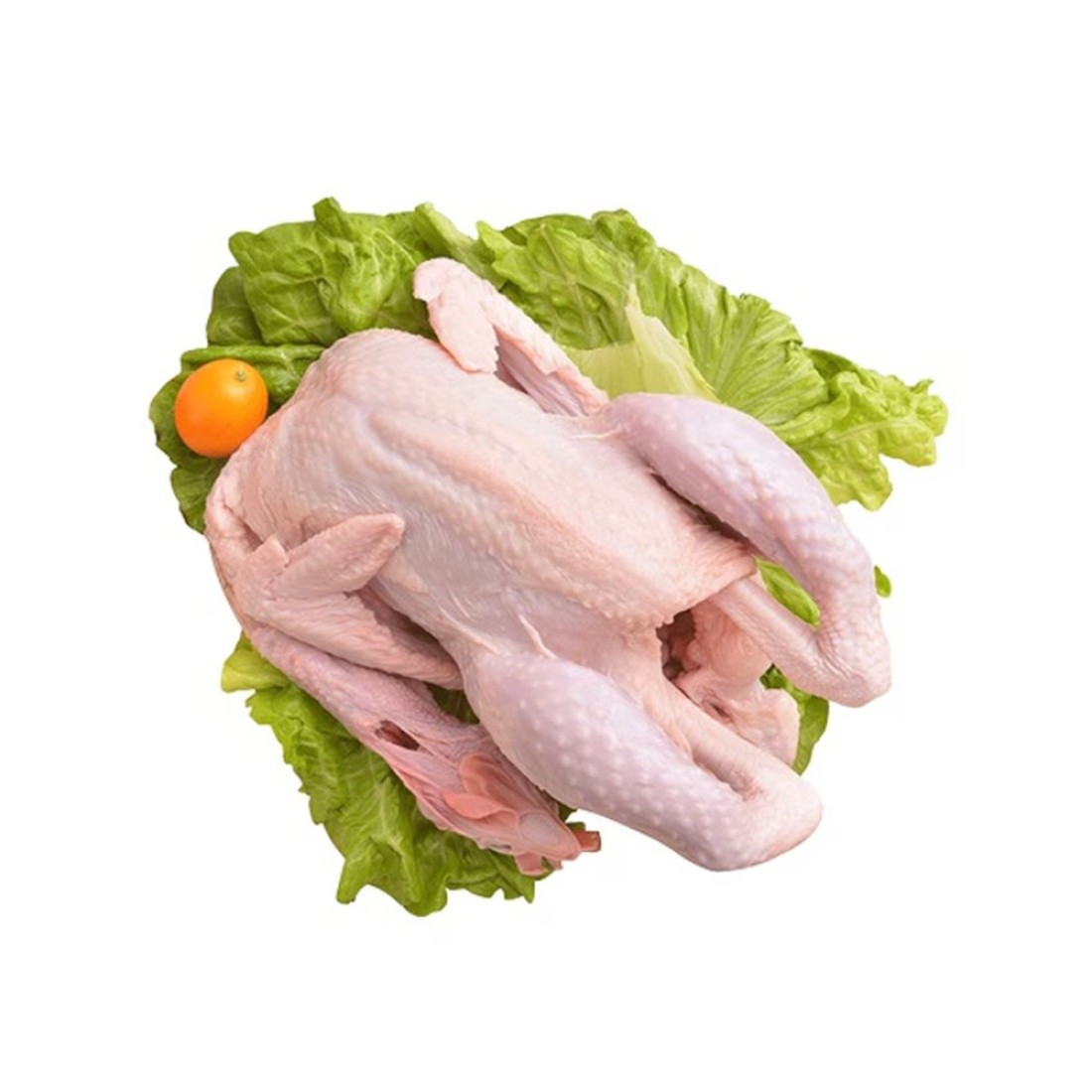 فارم فريش دجاج كامل مجمد 1.1 كغ