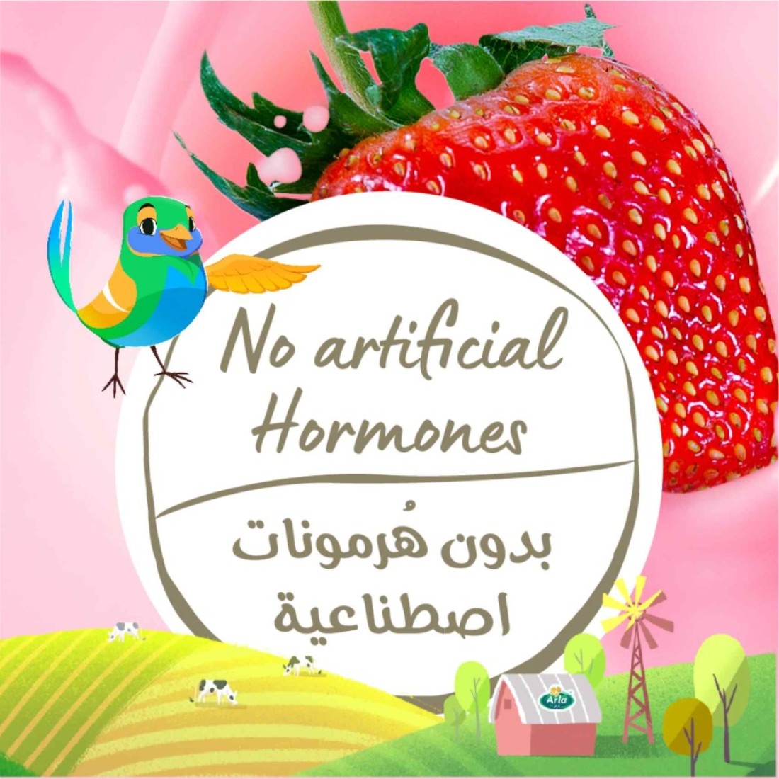 Arla Organic Strawberry Milk Multipack, 200ml Pack of 12
