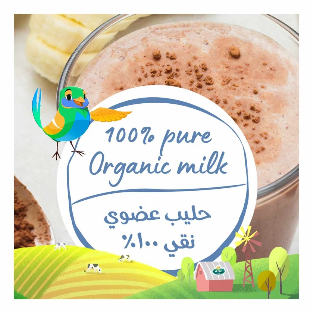 Arla Organic Chocolate Milk, 200ml