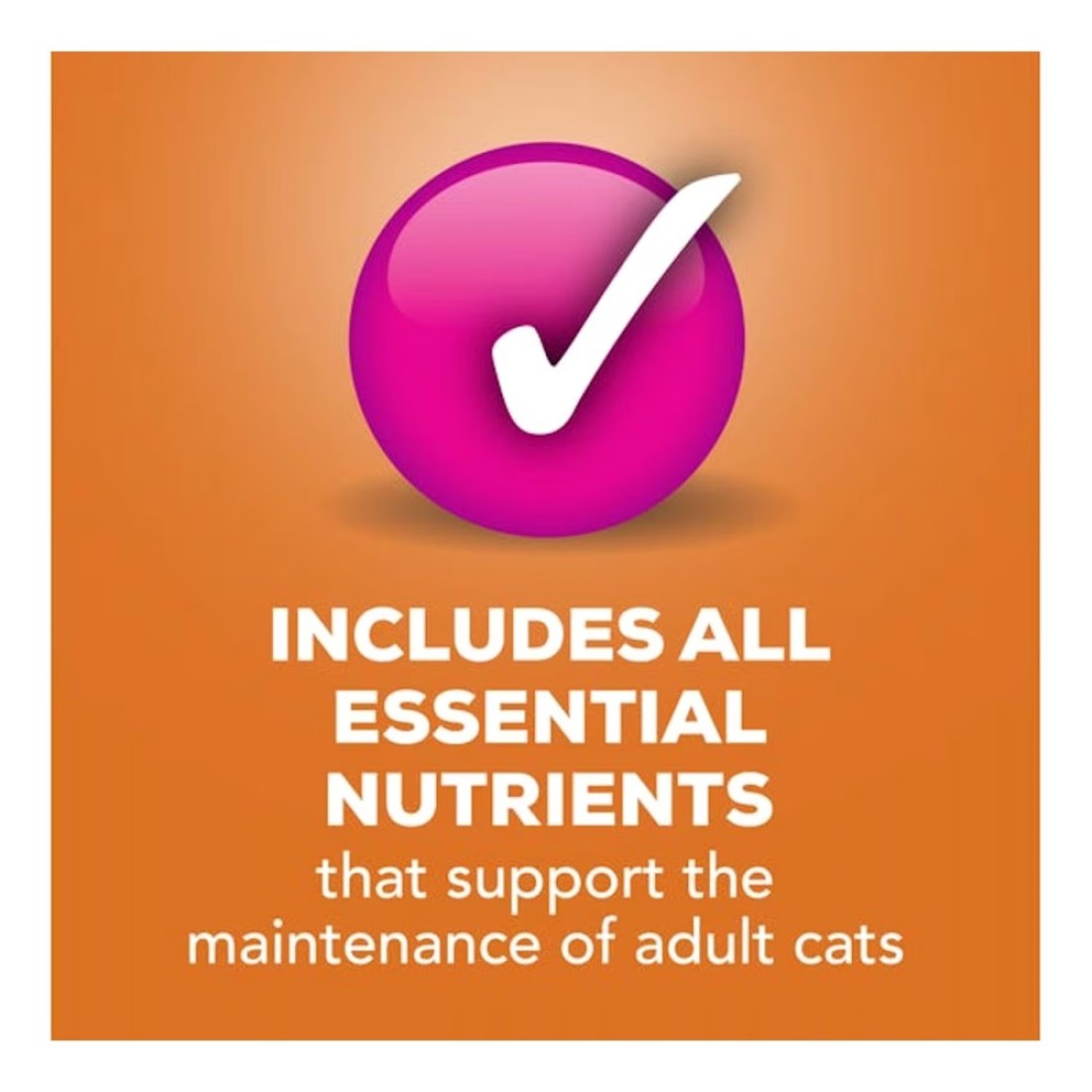 Purina Friskies Pate Poultry Platter Wet Cat Food, 156g