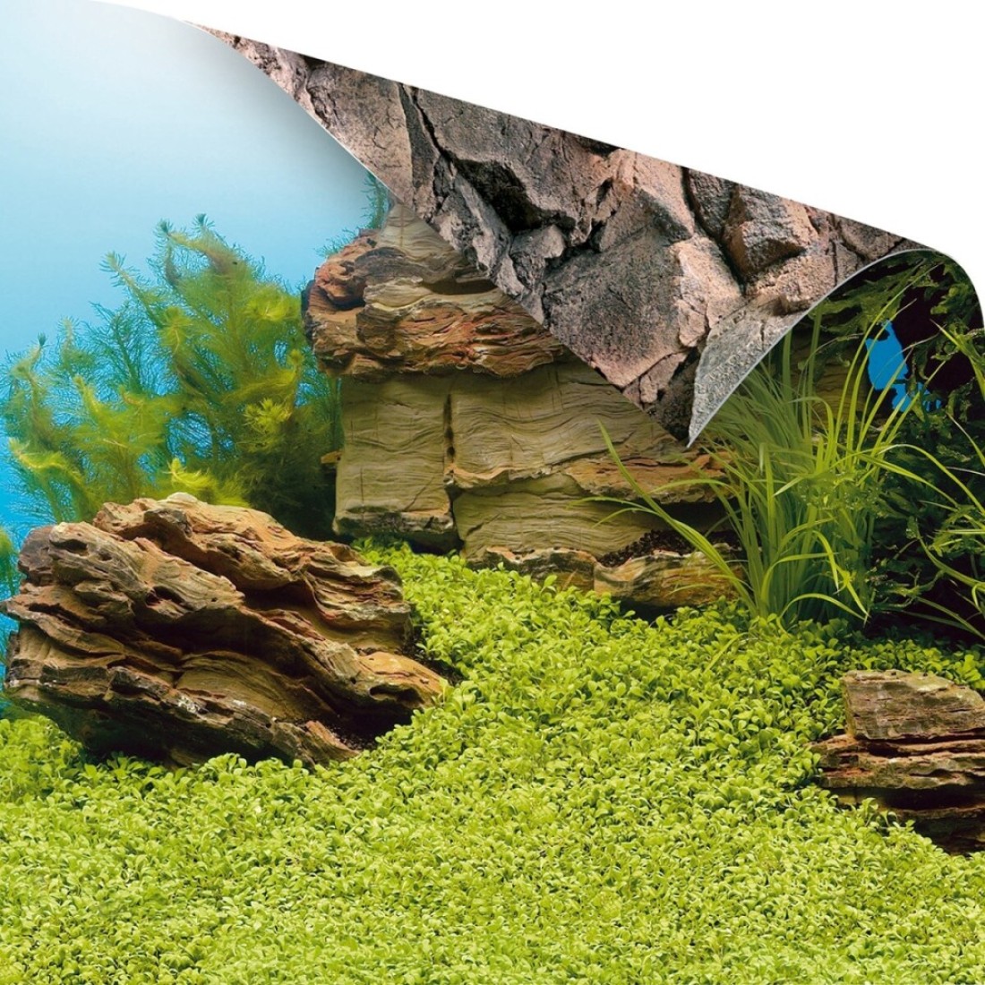 Poster 1-XL 150X60cm
