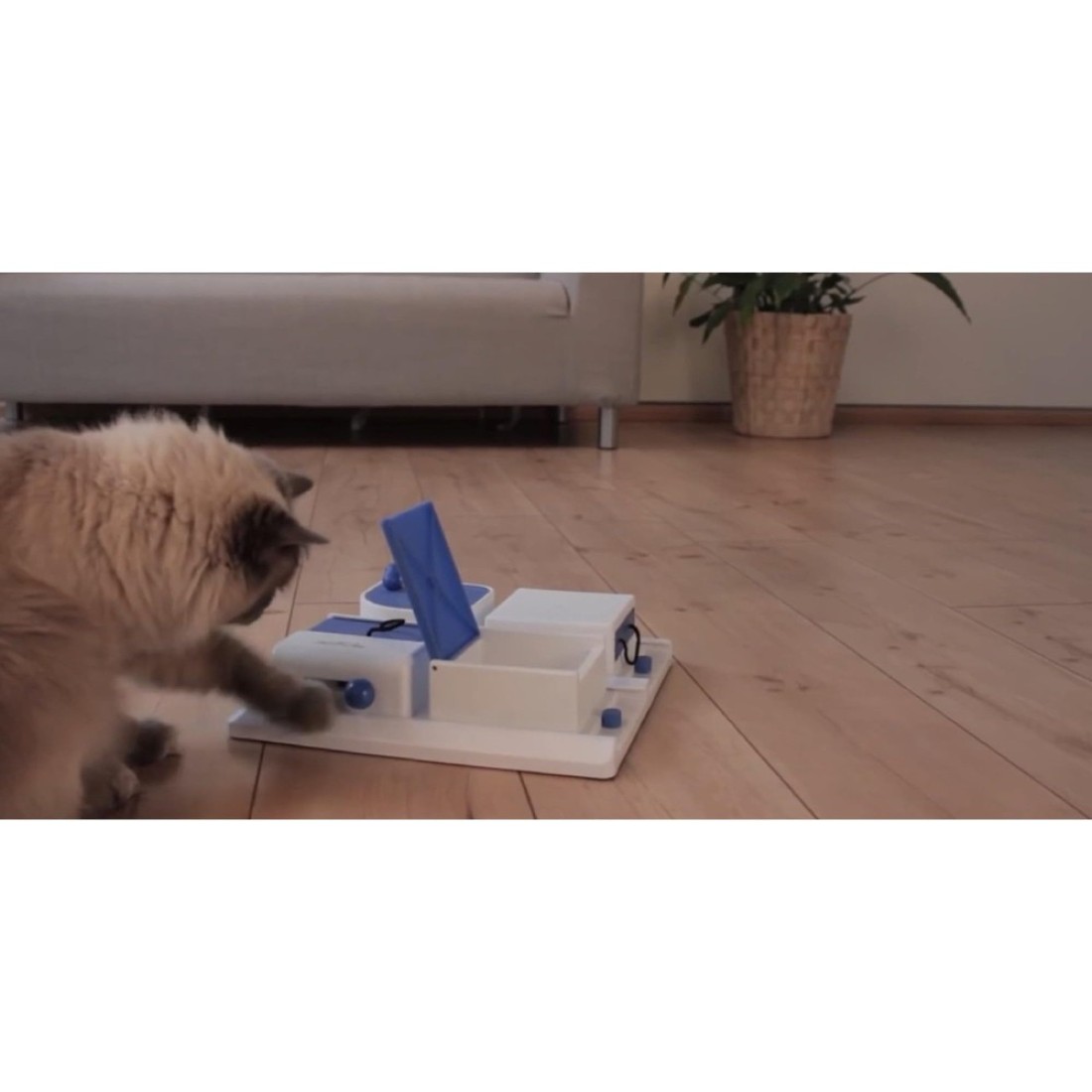 TRIXIE Cat Activity Poker Box Strategy Game Slow Feeder Interactive Treat ToyAll Breed Sizes