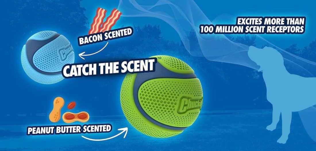 CI SNIFF FETCH BALL BACON MD 1PK