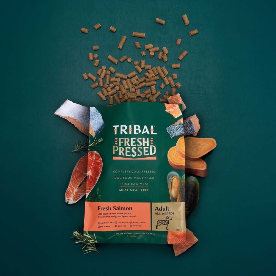 Tribal Fresh Pressed Salmon Adult Dry Dog Food-2.5kg