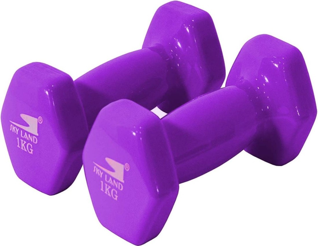 Sky Land Vinyl Dumbbell Classical Head 1 Kgx2 Purple