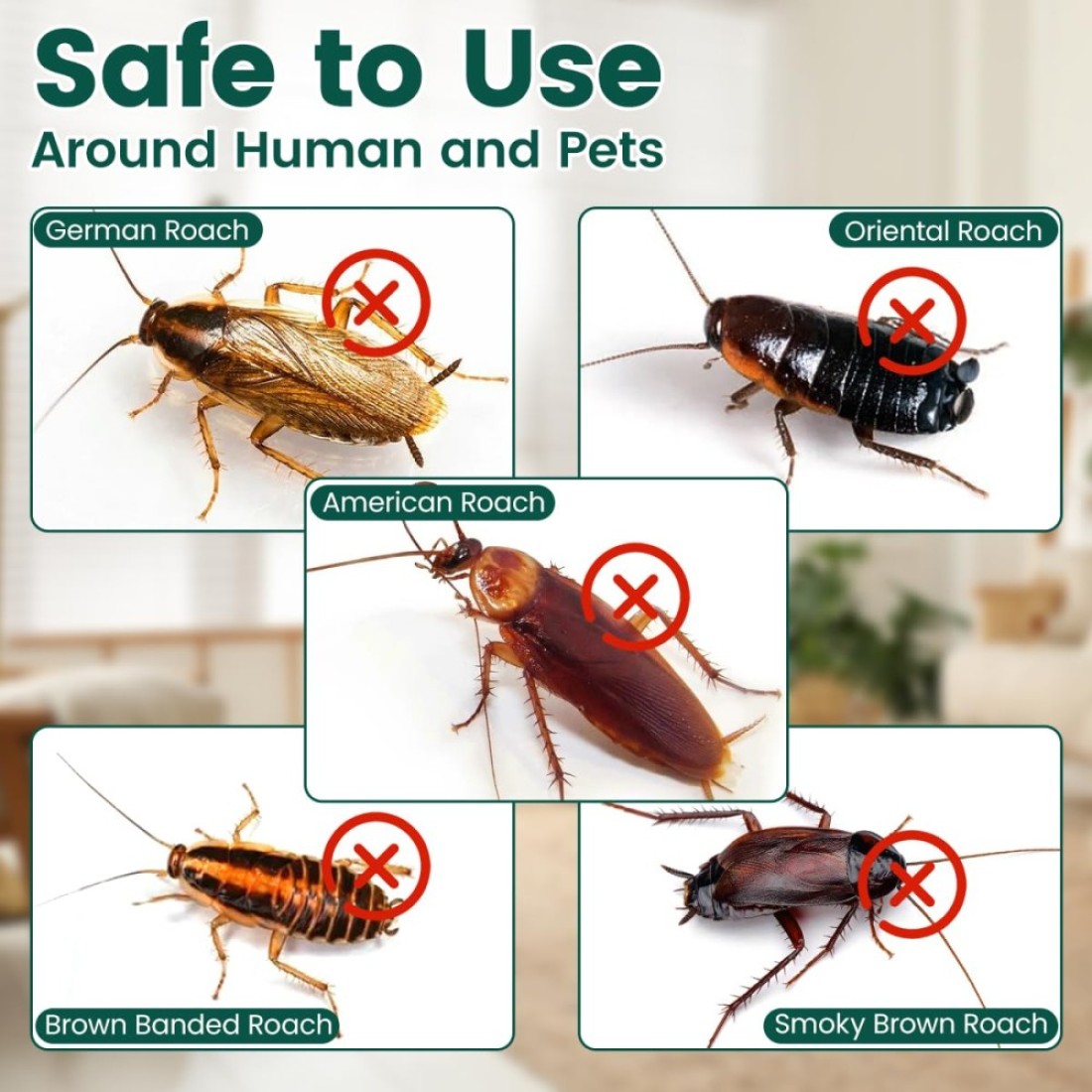 Advion Buy 2 Get 3 Cockroach Gel Bait Indoor &amp; Outdoor Use Major Cockroach Species 30g