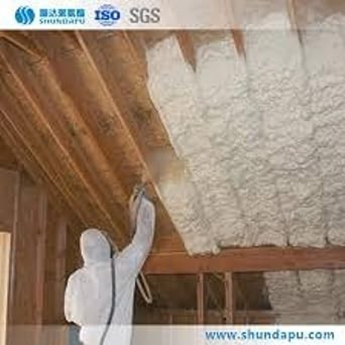 Polyurethane Spray Foam, 750ml