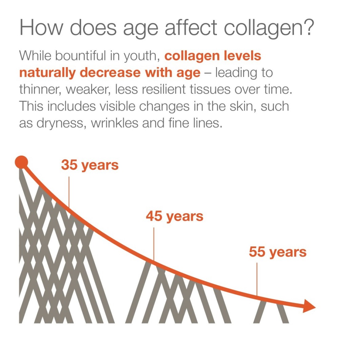 YoutheoryMarine Collagen 2500 mg Hydrolyzed Collagen Supports Skin FishSourced Collagen with Vitamin C A C E B6 B12 More Highly Digestible and Absorbable 290 Tablets