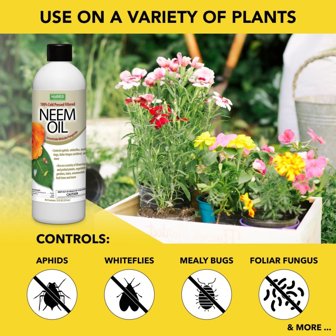 HARRIS Neem Oil 100 Cold Pressed and Unrefined Concentrate for Plant Spray High Azadirachtin Content 12 Ounce for Aphids Whiteflies Mealy Bugs and More