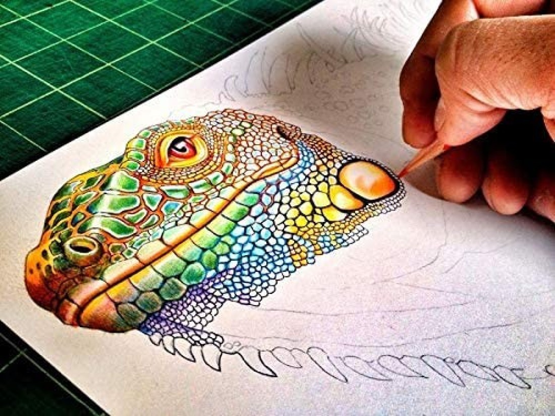 Staedtler 52 Coloring Set, 48 Colored Pencils - 2 x 24 Colored Pencil Set, 2 Nylon Pencil Cases, 2 Double Hole Sharpeners