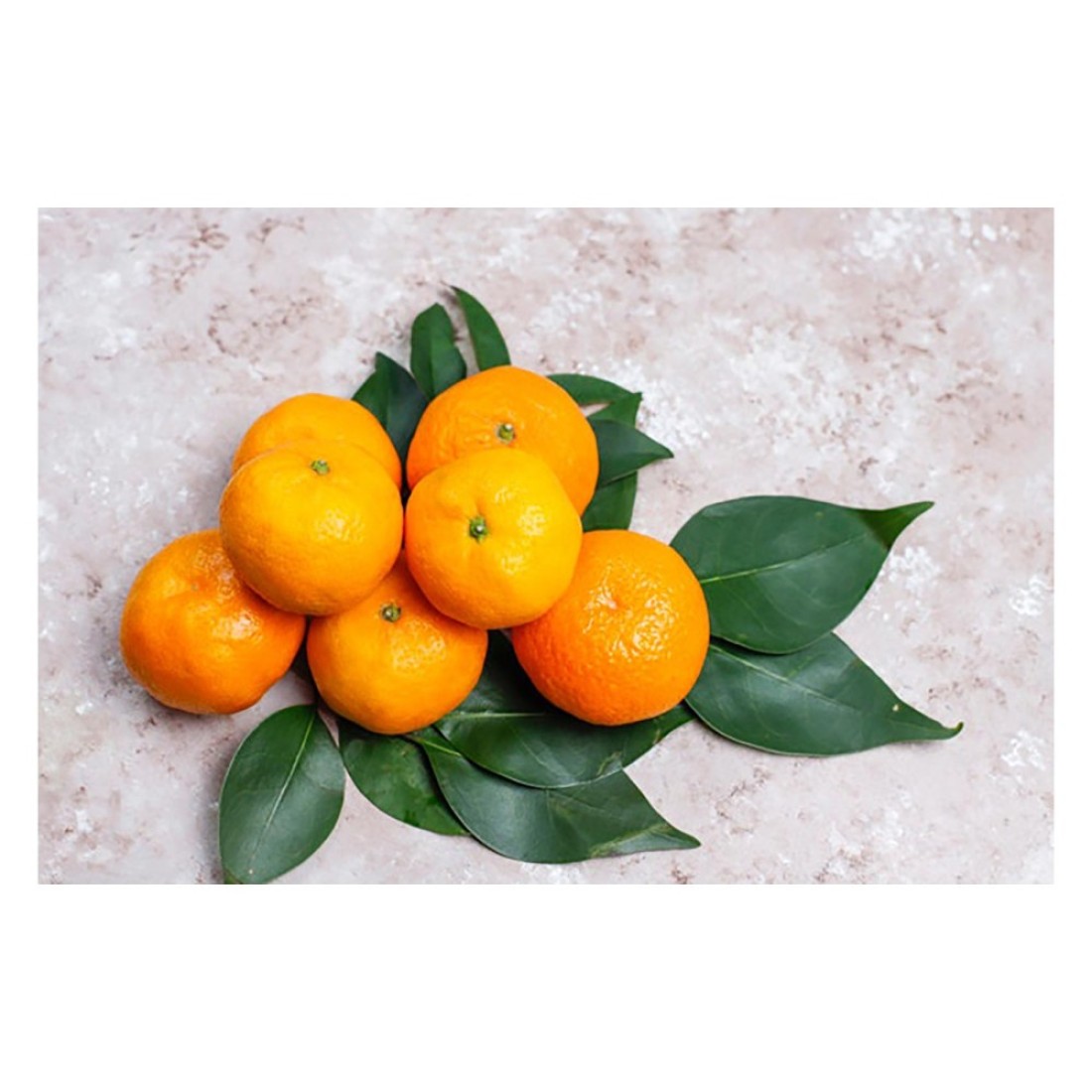 Clementine with Leaves