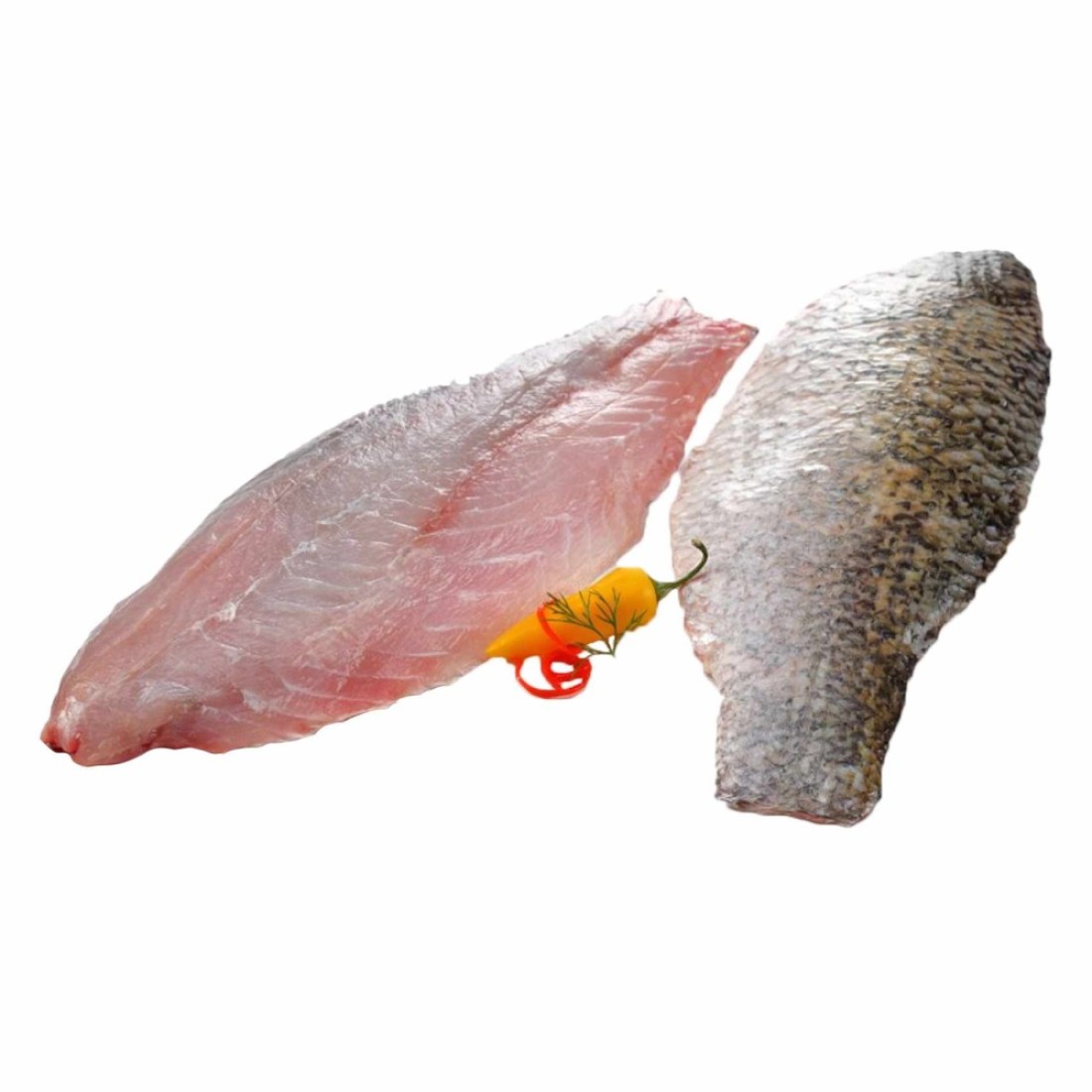 سمك دنيس طازج