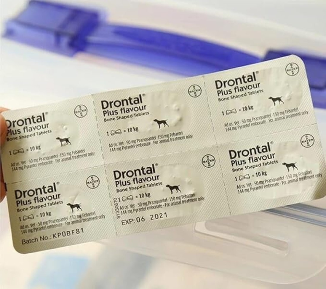 Bayer Drontal Dog Dewormer for Roundworms &amp; Tapeworms 6 Tablets