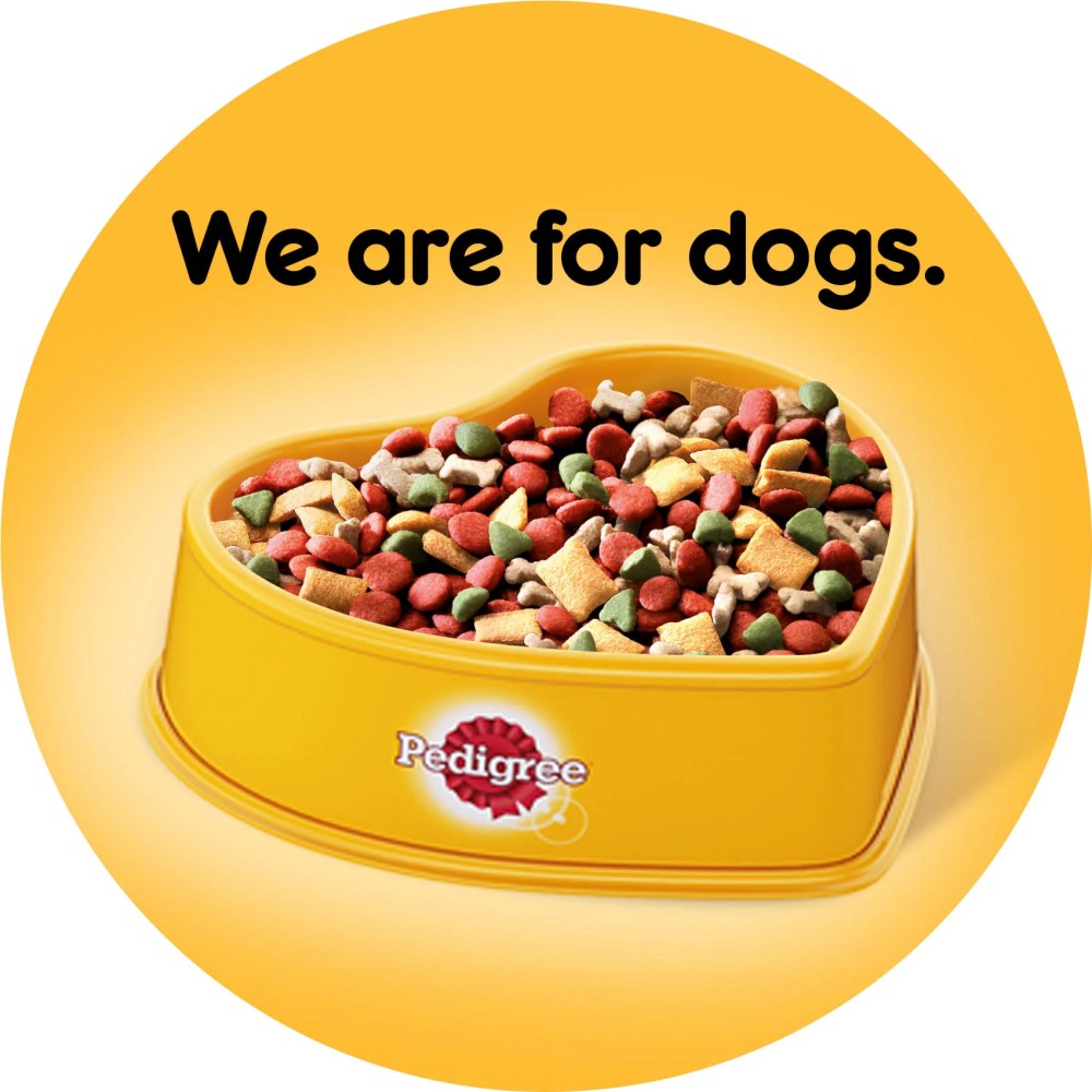 Pedigree Vital Protection Beef and Vegetables Flavour Dry Food for Adult Dog, 3kg