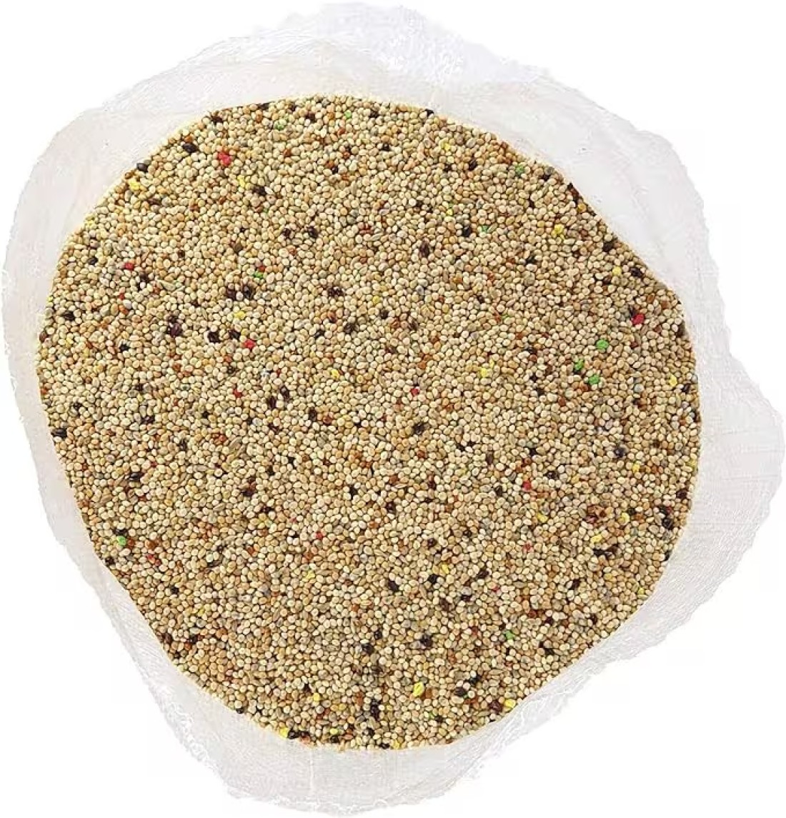 Egardenkart® Bird Food Small bird Budgie finches canaries hookbills doves quail and sparrows Seed mix (1kg, Budgie)