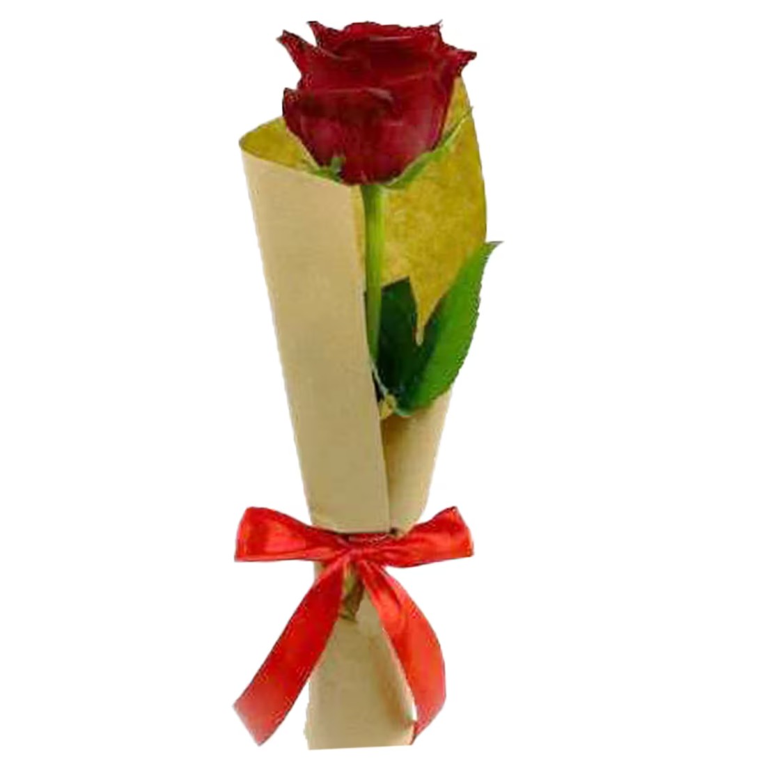 Red Rose Premium Wrap