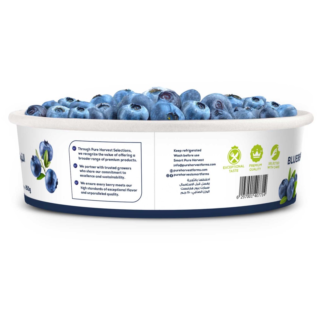 Blueberries Premium 250g