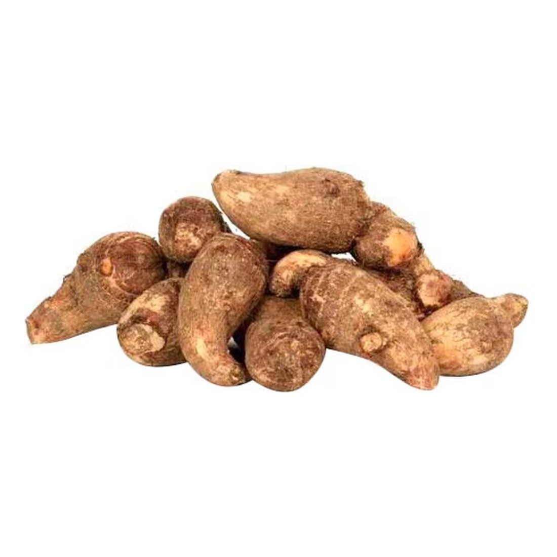 كولوكاسيا صغيرة (أرافي)