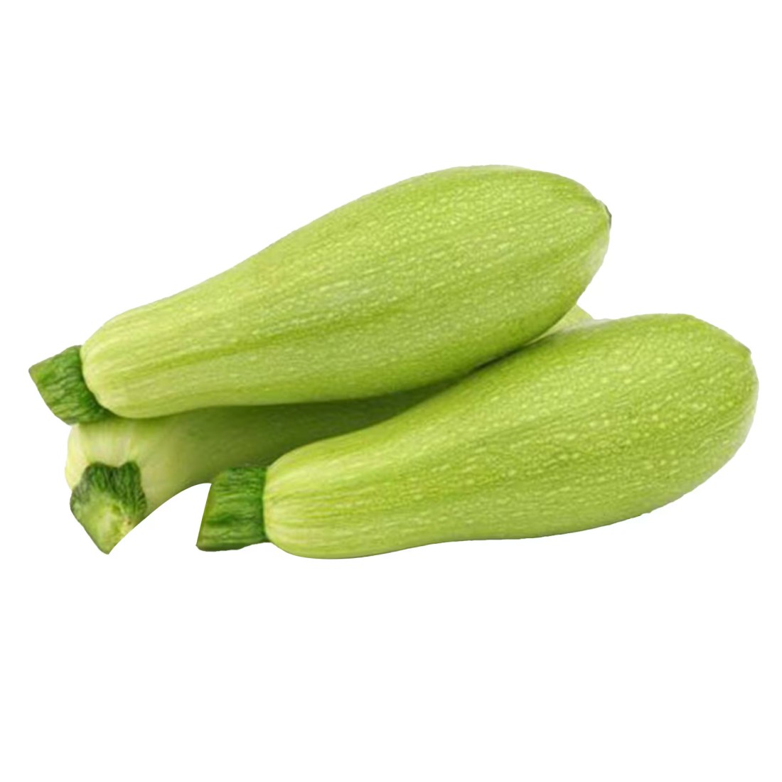 Marrow