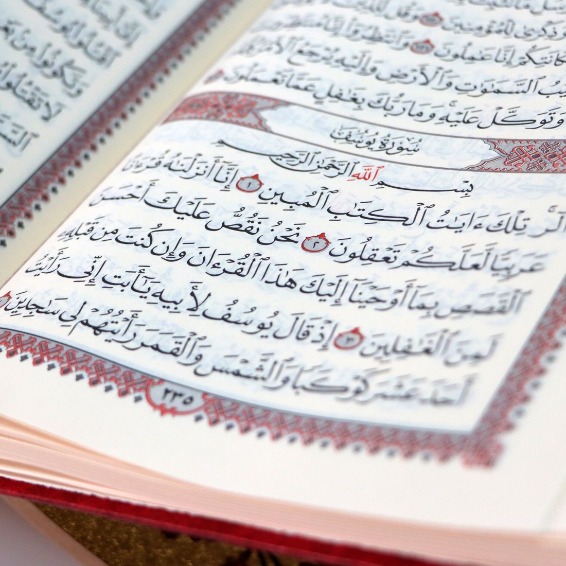 The Shamwa Qur&#39;an, two-color cover with Ottoman drawing

