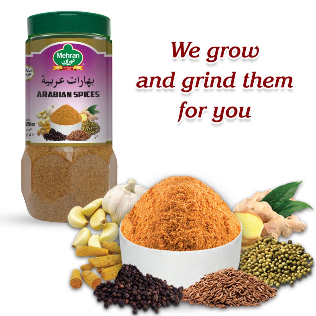Mehran Arabic Spices 250g