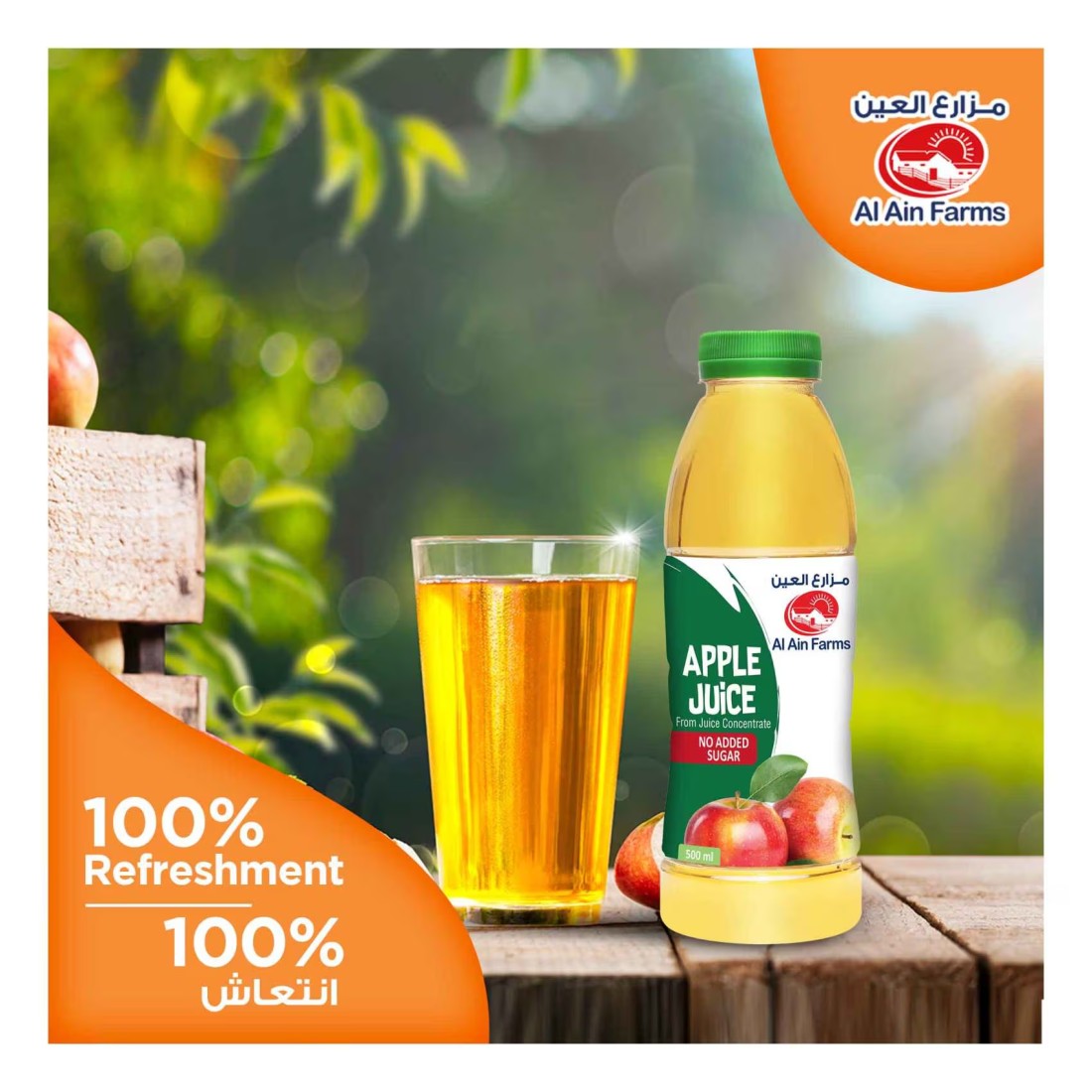 Al Ain Apple Juice 500ml