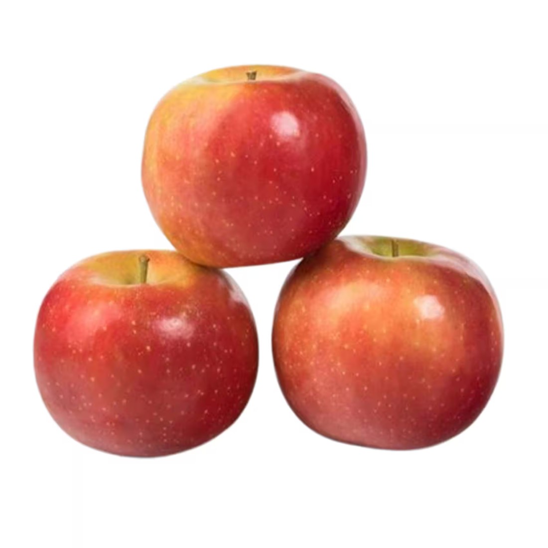 Apple Club Candine