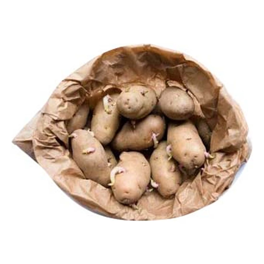 بذور البطاطس