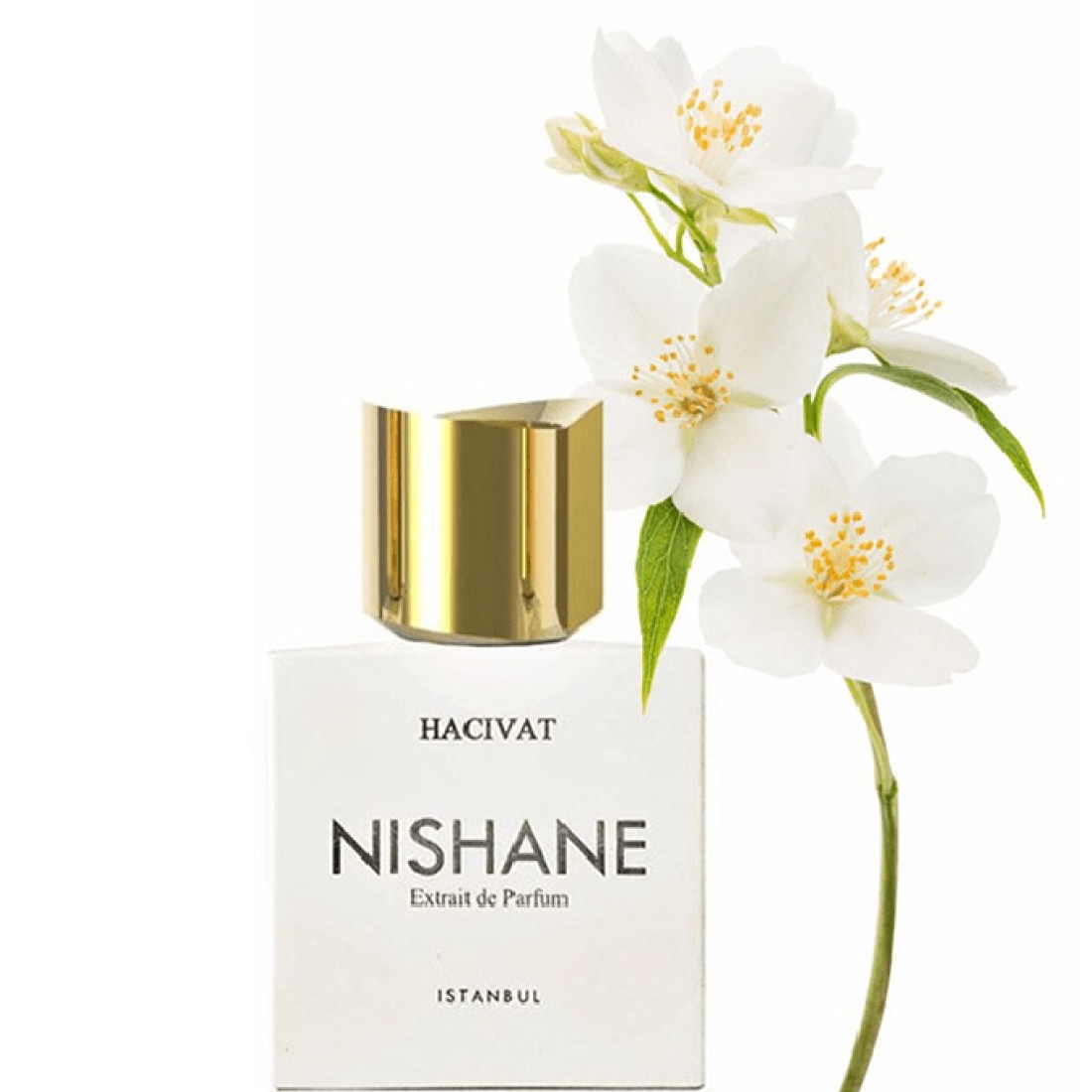 عطر هاتشيفات من نيشاني - إكستريت دو برفيوم
