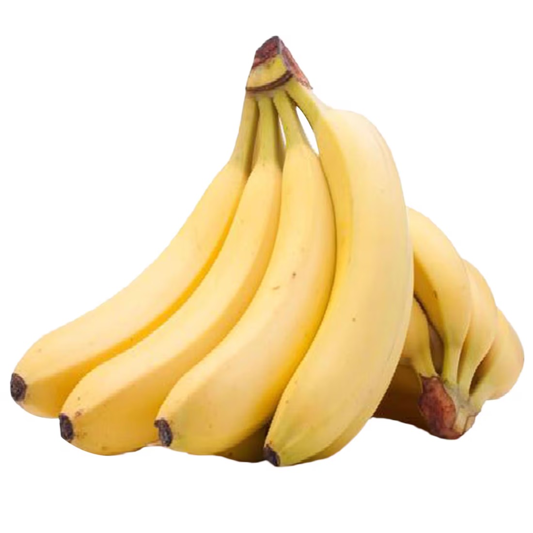 موز ممتاز
