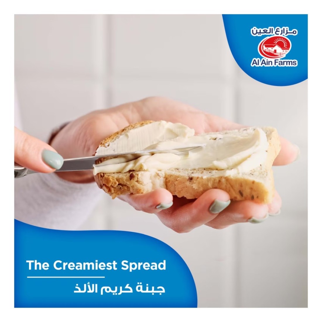 Al Ain Farms Cream Cheese Jar 500g Pack of 2