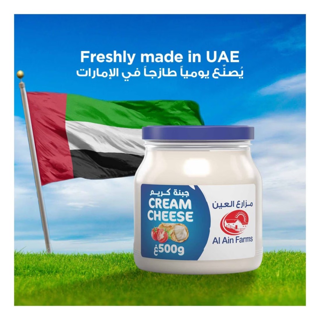 Al Ain Farms Cream Cheese Jar 500g Pack of 2