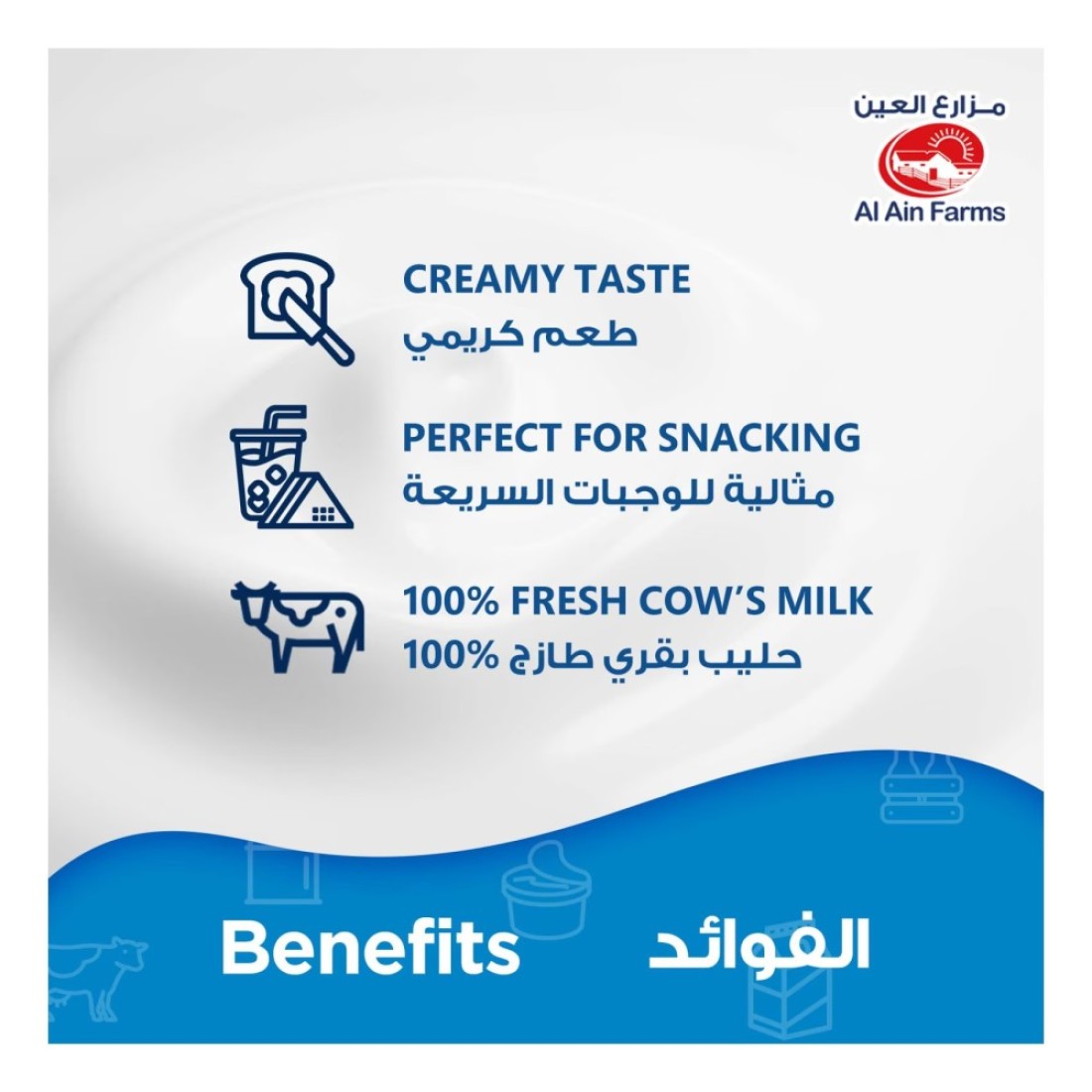 Al Ain Farms Cream Cheese Jar 500g Pack of 2