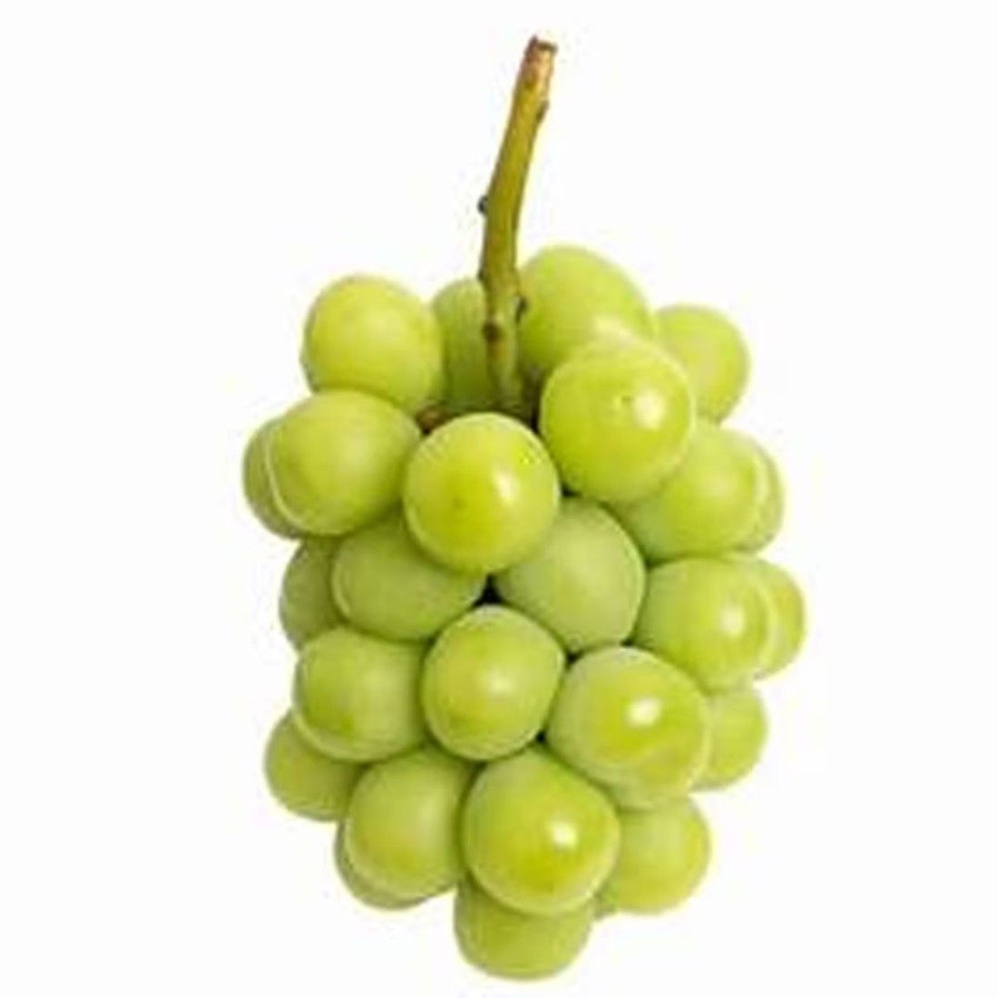 Premium Muscat Grapes 500g