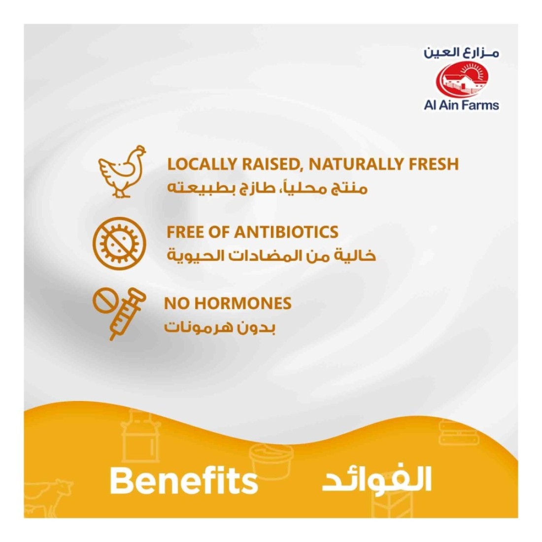 Al Ain Fresh Chicken Thigh 500g