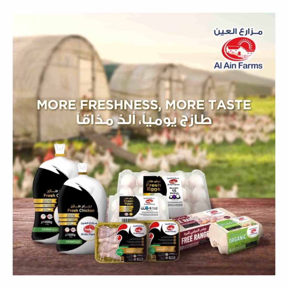 Al Ain Fresh Chicken Thigh 500g