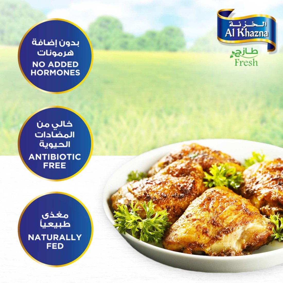 Al Khazna Fresh Chicken Thighs 1kg