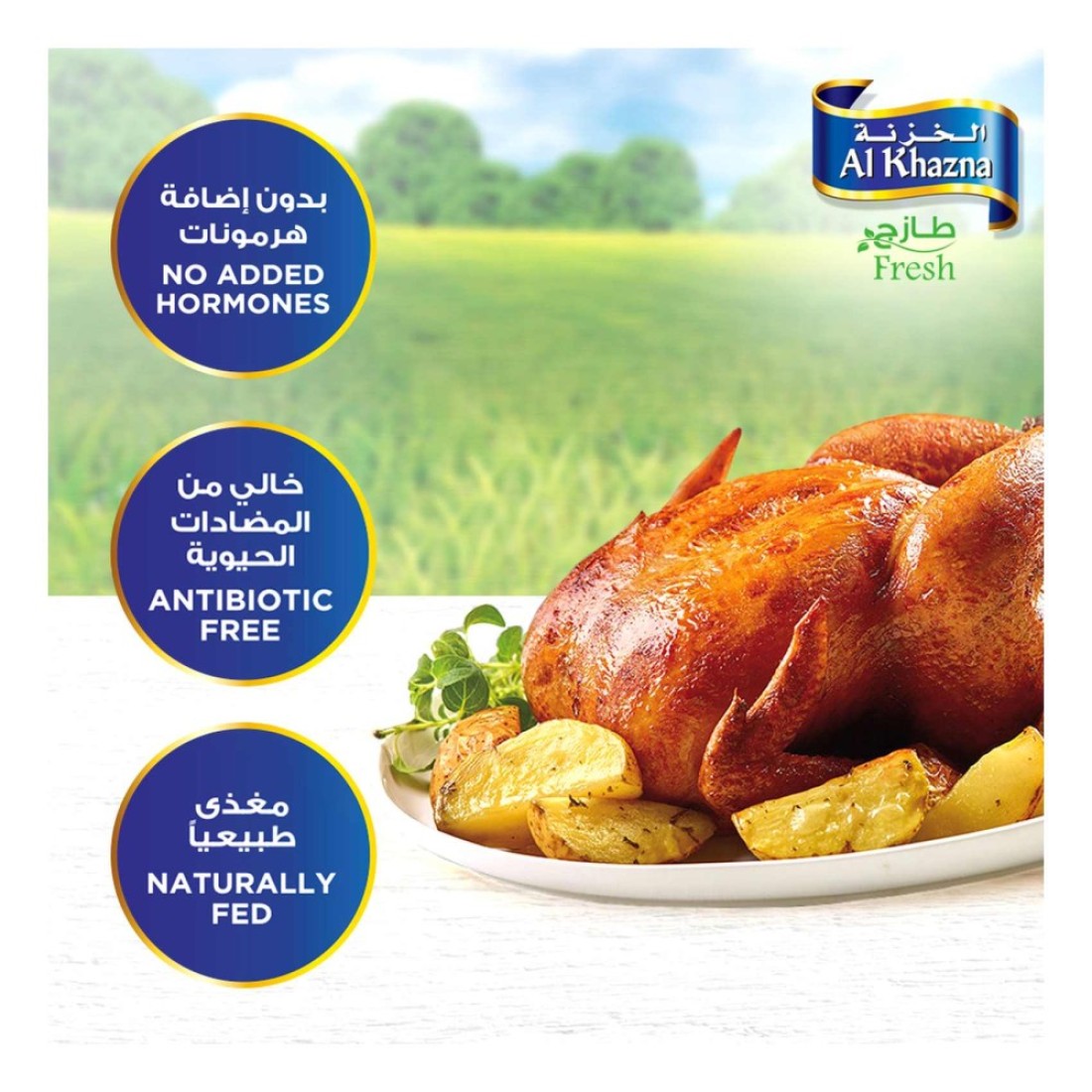 Al Khazna Whole Chicken Chilled 1100g