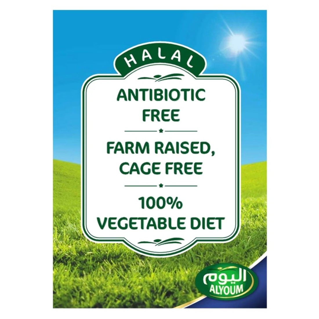 Alyoum Fresh Chicken Thigh 900g