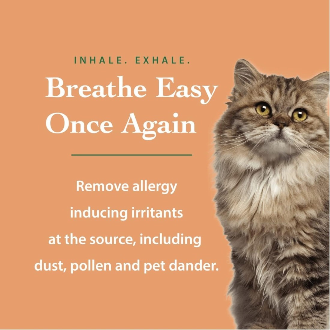 AntiAllergy Laundry Detergent Natural Allergy Free for Pet Dander Allergy Pollen For Sensitive Skin Washing Baby Clothes Unscented