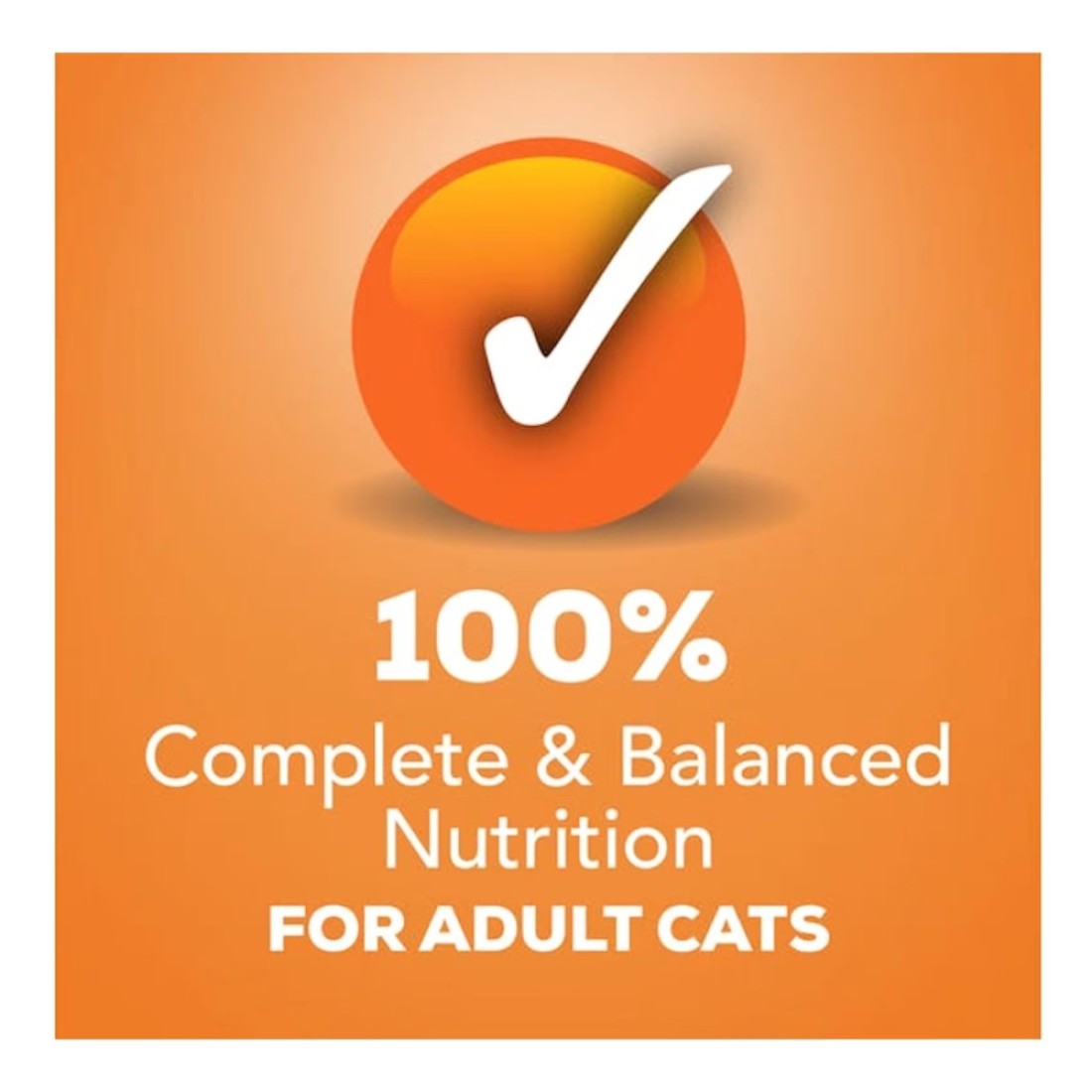 Purina Friskies Pate Poultry Platter Wet Cat Food, 156g
