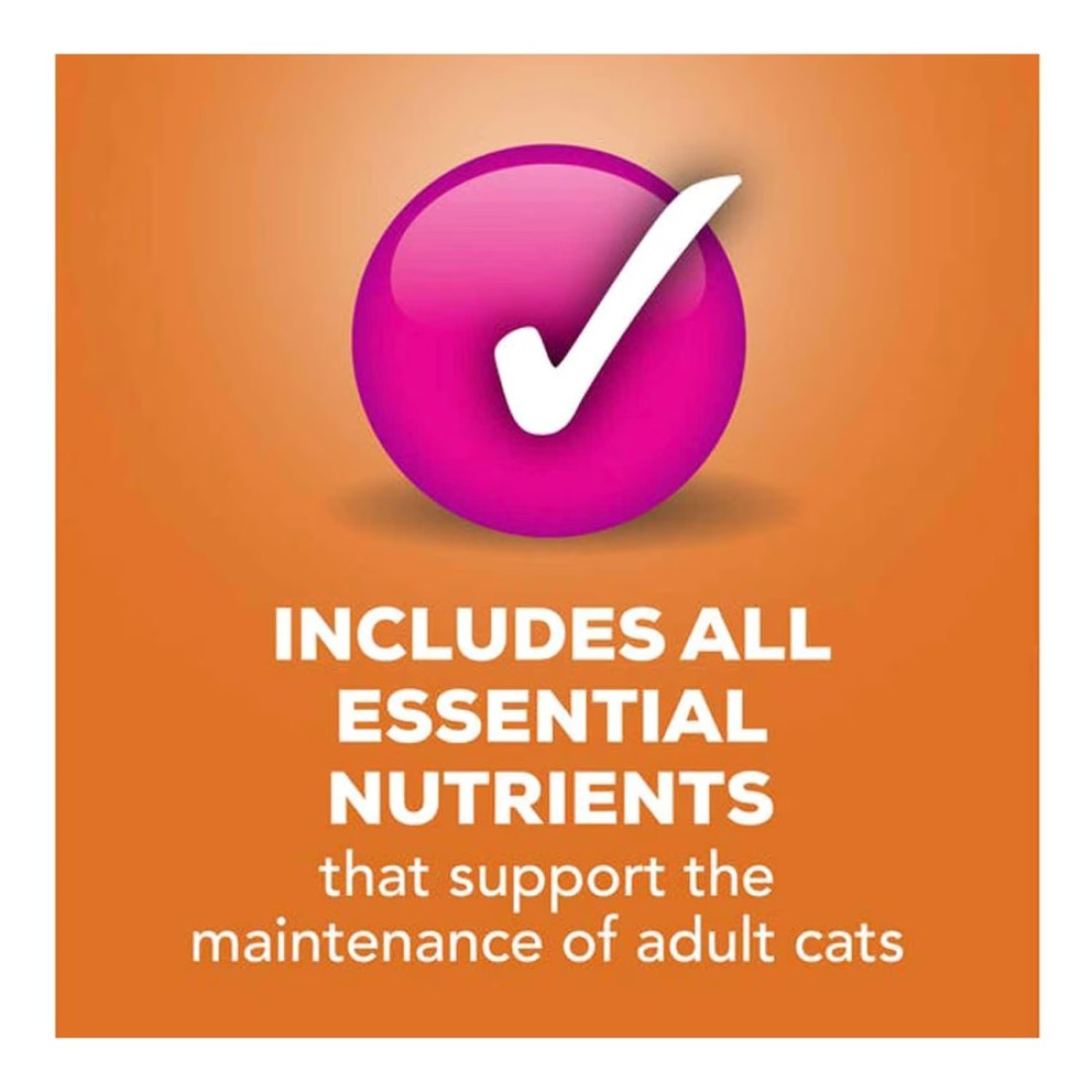 Purina Friskies Mixed Grill Wet Cat Food Pate, 156g
