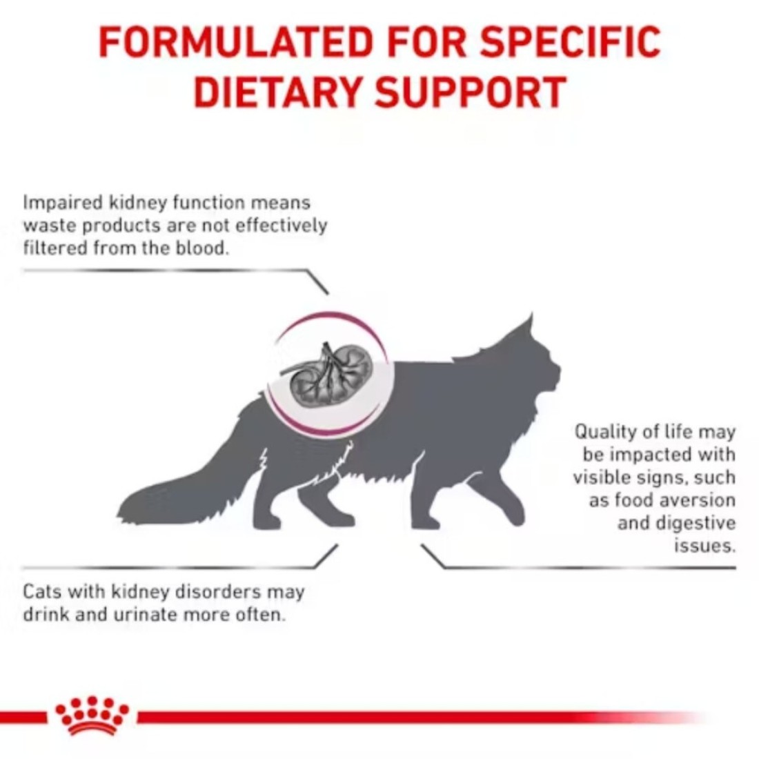 Royal Canin Renal Dry Cat Food 2kg

