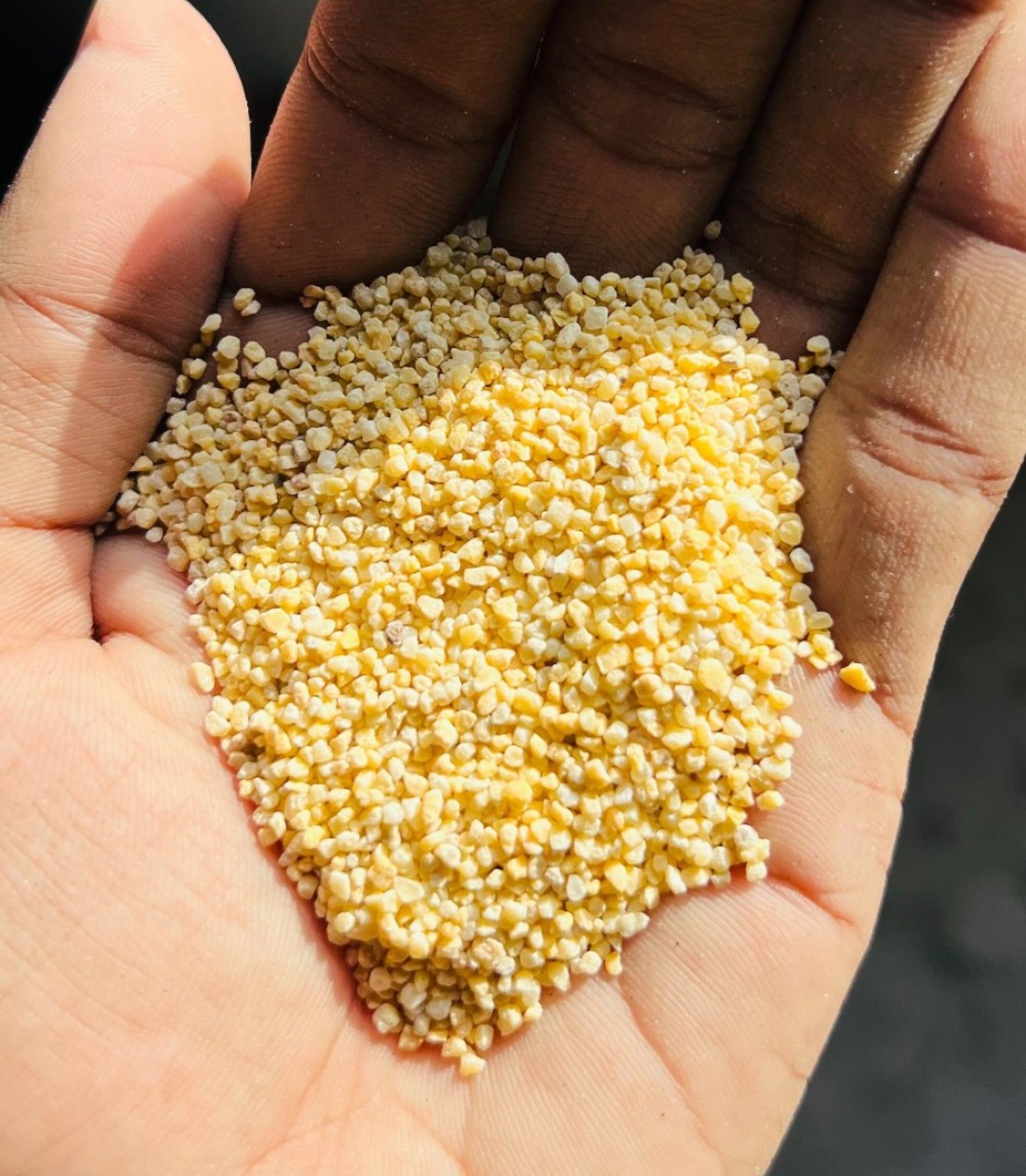 Golden Sand Aquarium Gravel 3 kg - Small Size 1-2mm, Perfect for Nano Tanks &amp; Decorative Use