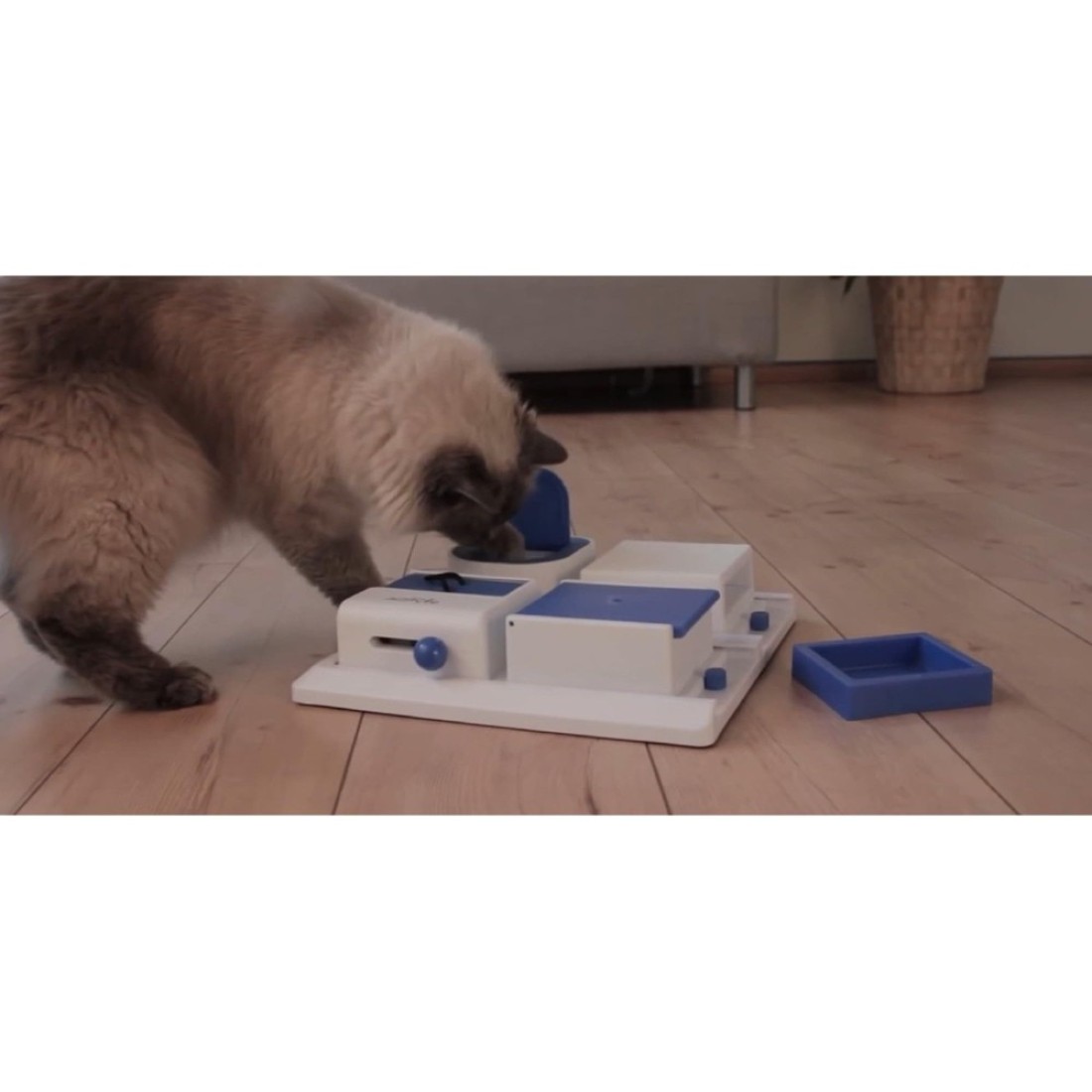 TRIXIE Cat Activity Poker Box Strategy Game Slow Feeder Interactive Treat ToyAll Breed Sizes