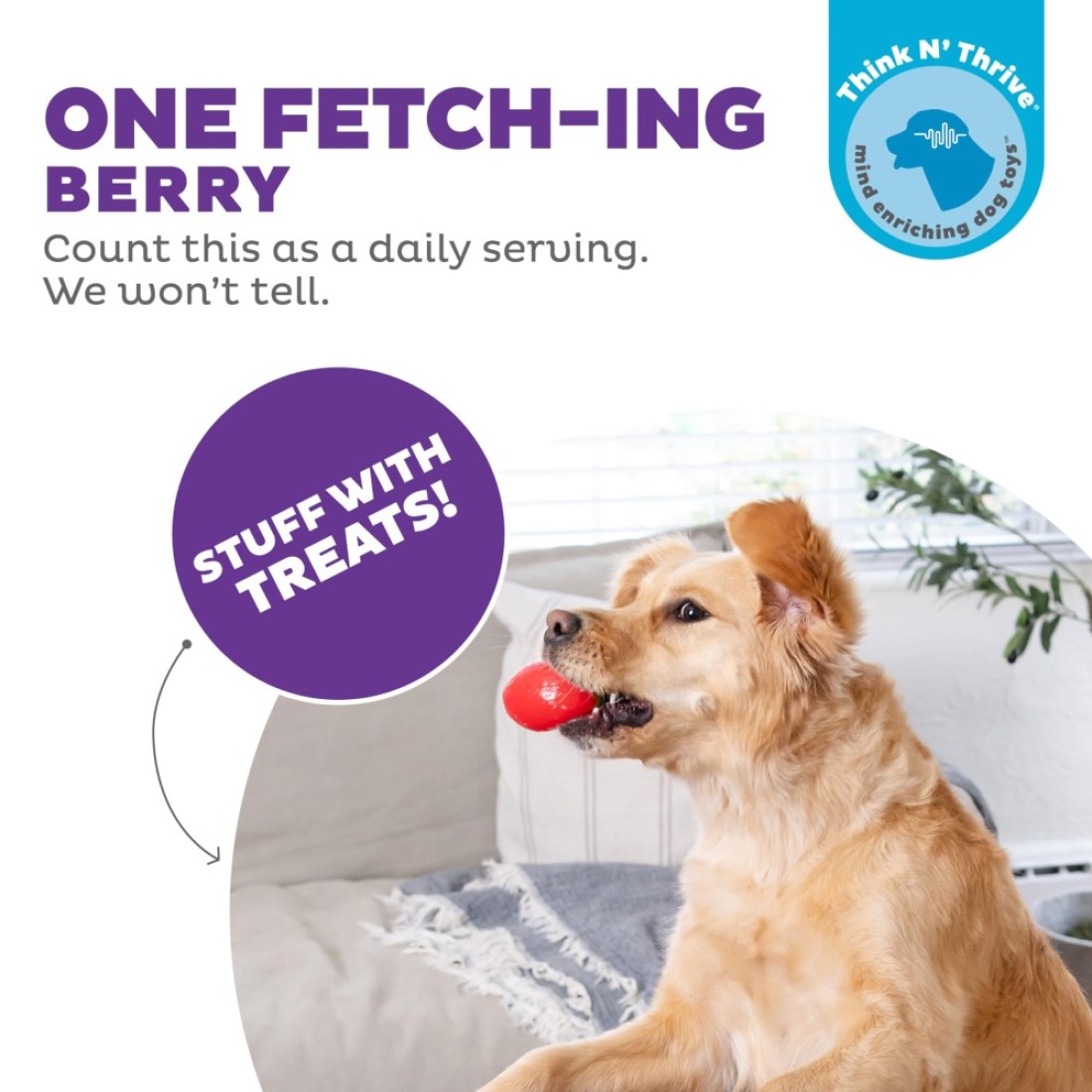Outward Hound Foodies Carrot Strawberry TreatDispensing Dog Chew Toy Pink